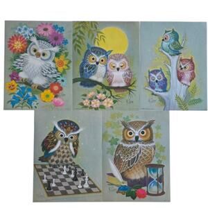 Vtg 1973 K Chin Owl Prints Set 5 Donald Art Co 12x9 USA